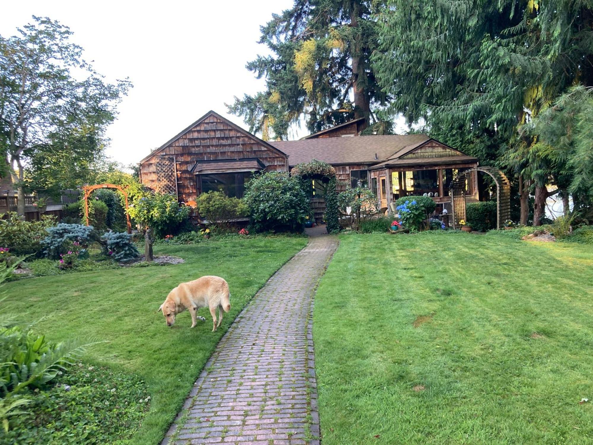 Cottage Lake Bed And Breakfast