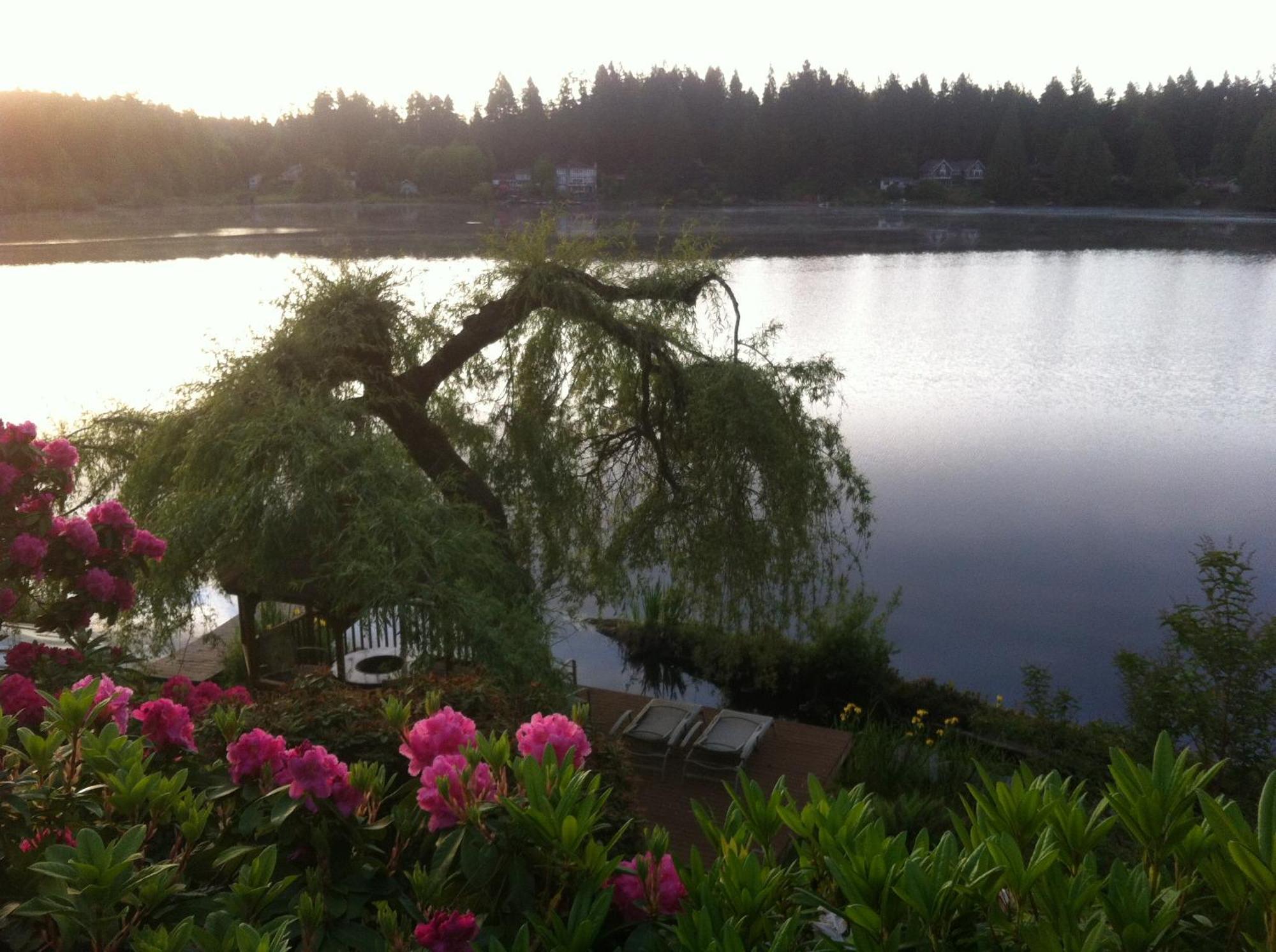 Bed & Breakfast Cottage Lake Bed And Breakfast Woodinville