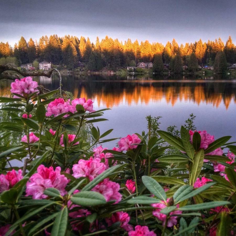 Cottage Lake Bed And Breakfast Woodinville